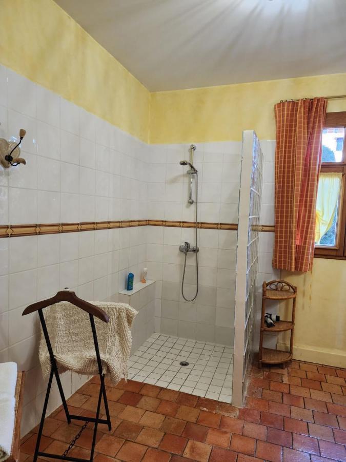 Manoir De La Maison Blanche Amboise Dış mekan fotoğraf